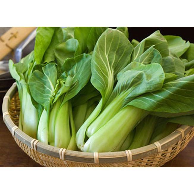 Combo 2 Bịch Hạt Giống Cải Thìa