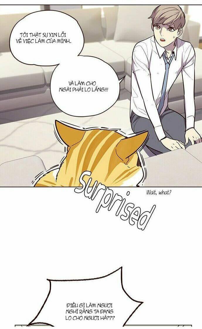 biến thân thành mèo chapter 6 17