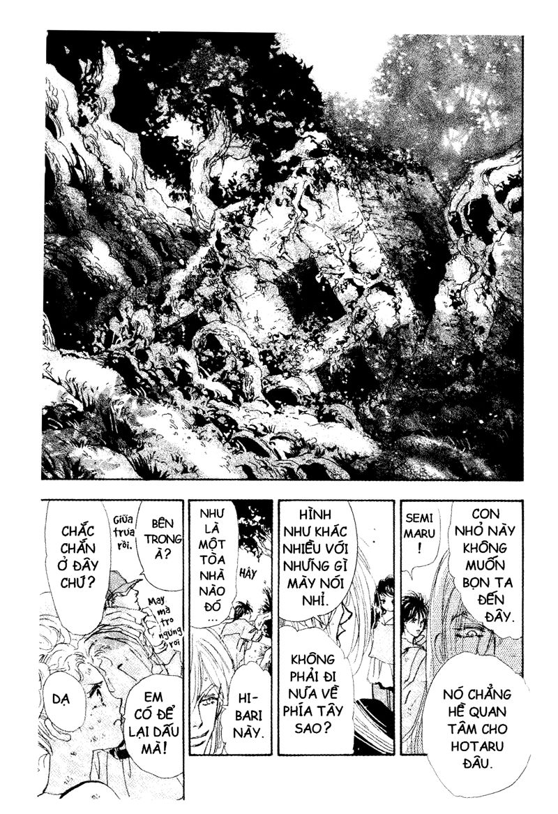 mầm sống chapter 66 15