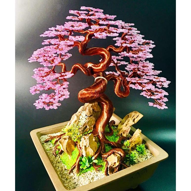 4kg kẽm màu bonsai nhiều màu