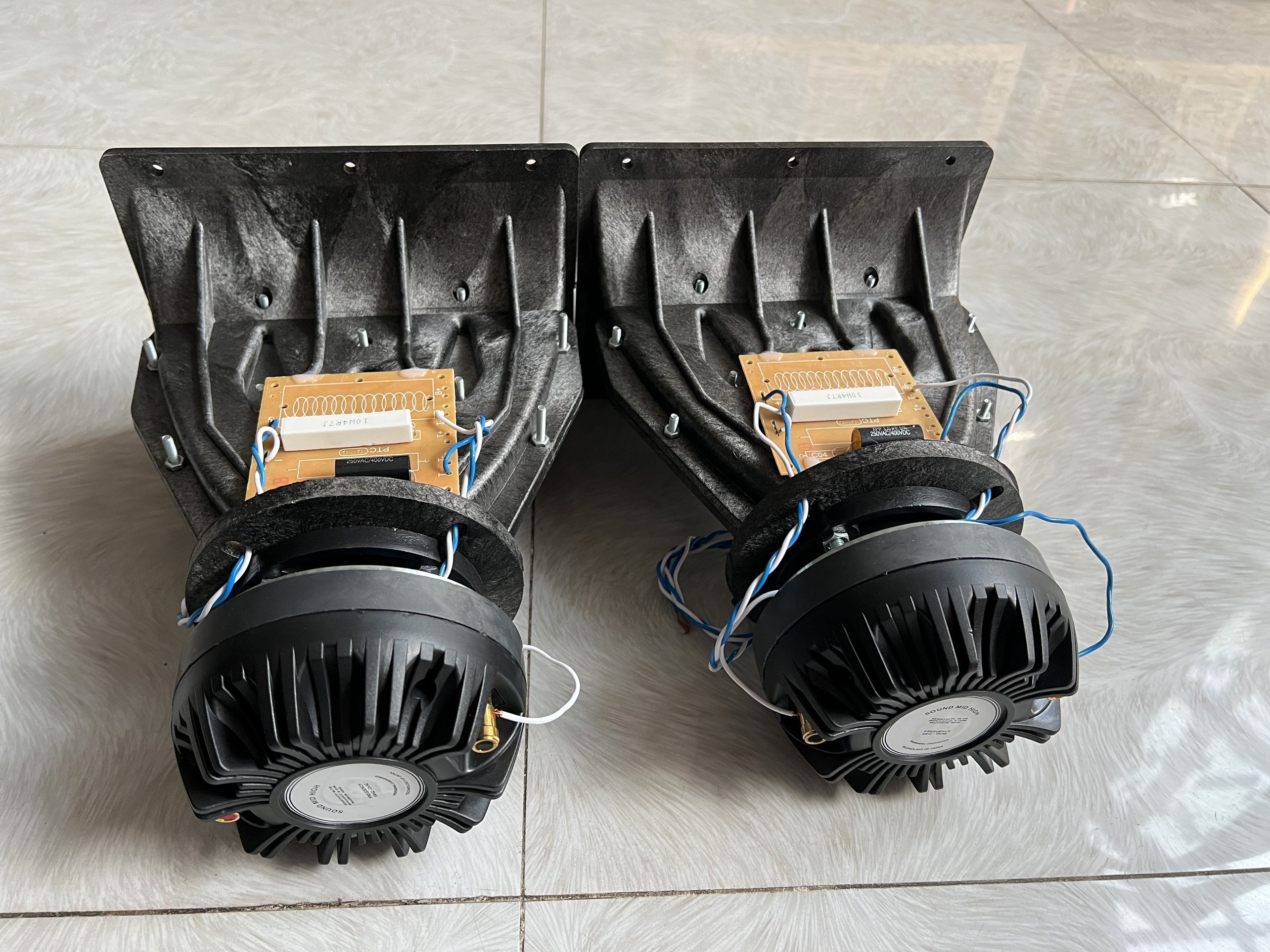 Chép Rời họng Aray củ chép 450 tiếng tí tách cực sáng và trong có phân tần Hải Triều
