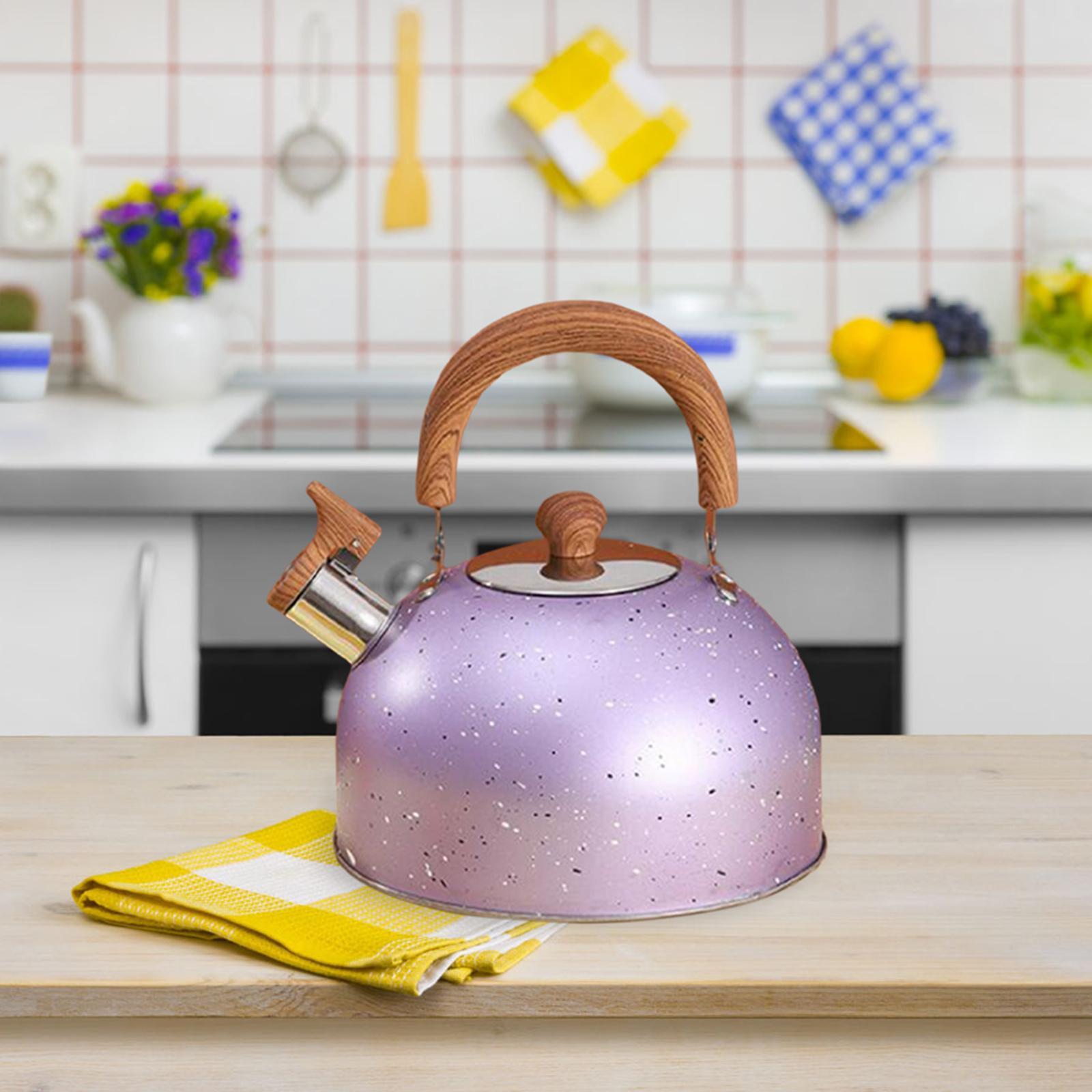 3L Tea Kettle Stovetop Whistling Stainless Steel Green