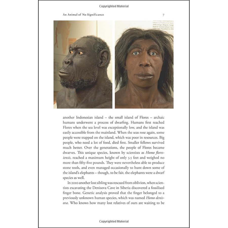 Sapiens : A Brief History of Humankind (Patterns of Life)