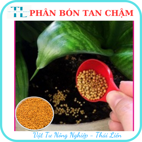 Phân tan chậm thái lan phân vàng Osmocote 14-14-14 túi 100g tiện lợi trồng xương rồng sen đá