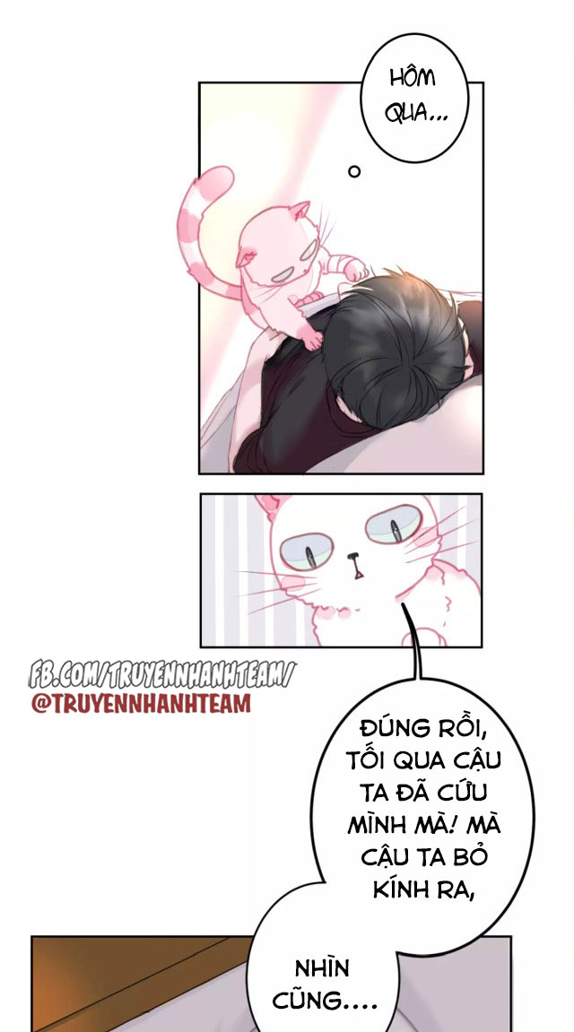 xã hội mèo chapter 1 25