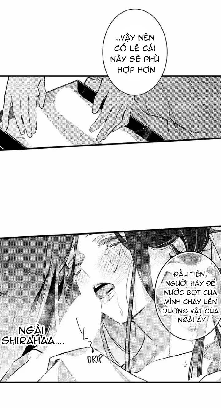 điểu thượng minh hoa chapter 7.1 9