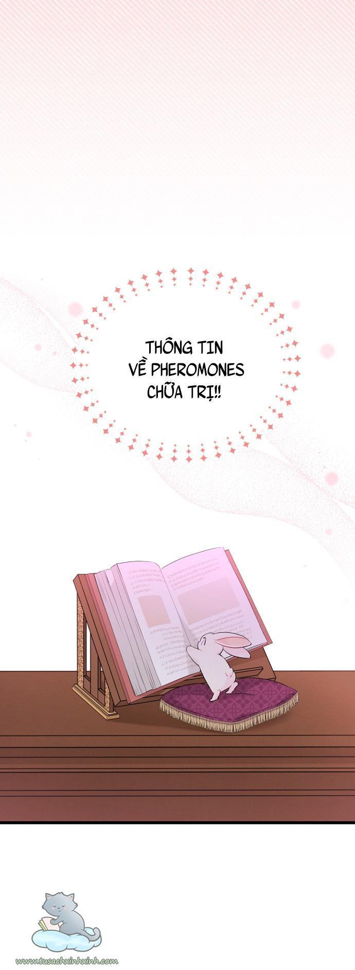 quan hệ cộng sinh giữa báo đen và thỏ trắng chapter 47 55