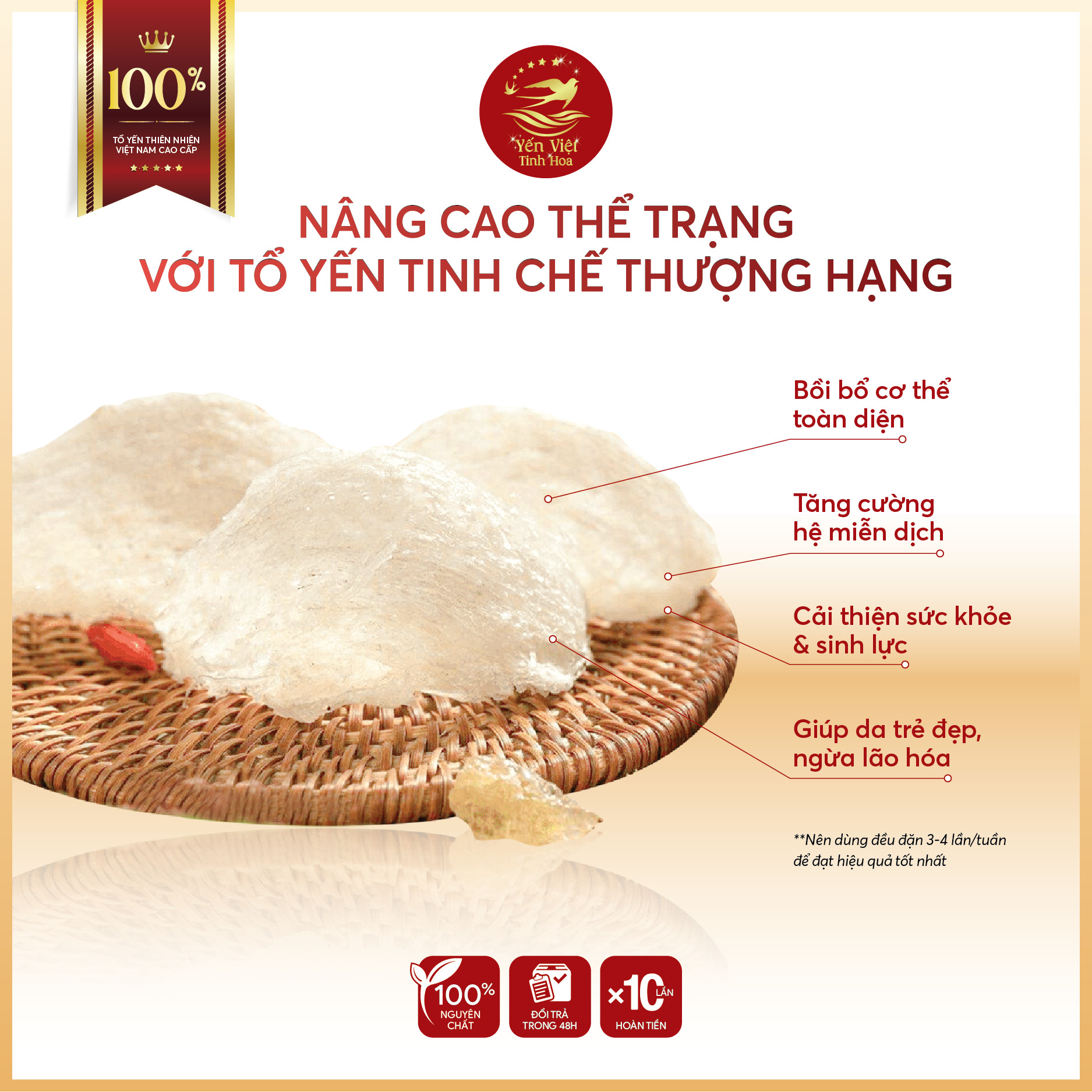 Tổ yến Tinh chế thượng hạng 100 gram Yến Việt Tinh Hoa - Hàng chính hãng