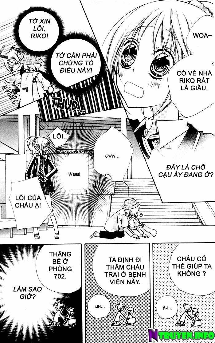 chocolate chapter 8 13
