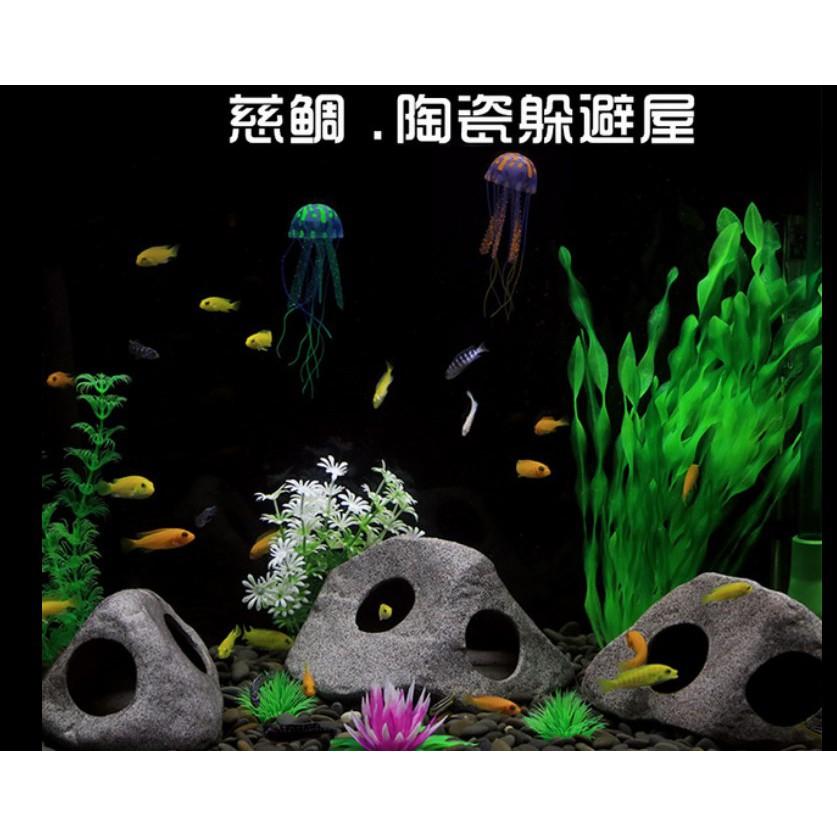 Hang cá ali ZS1603 - hang pleco - trang trí hồ tép - bể thủy sinh - biotop
