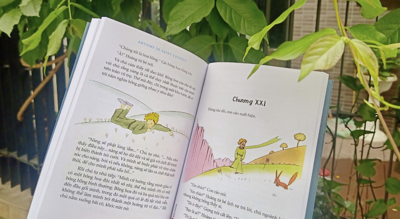 Sách - Hoàng Tử Bé ( NPH Đinh Tị Book)