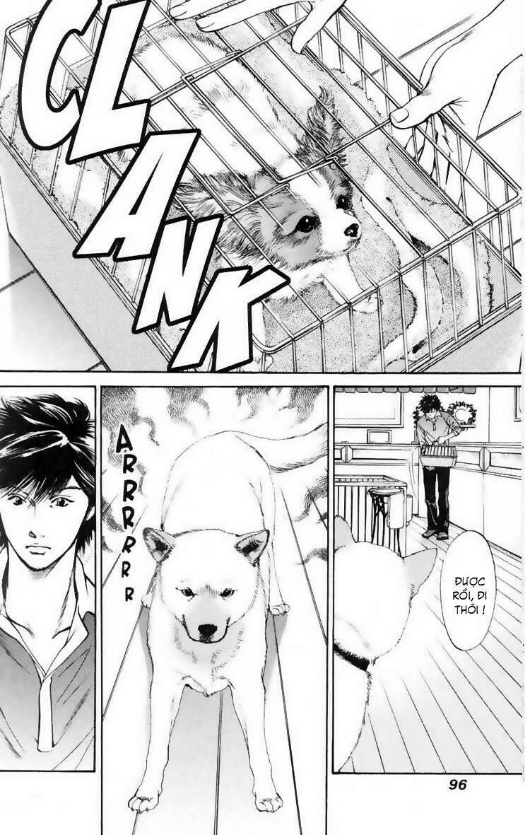 cô nàng yêu chó chapter 14 2