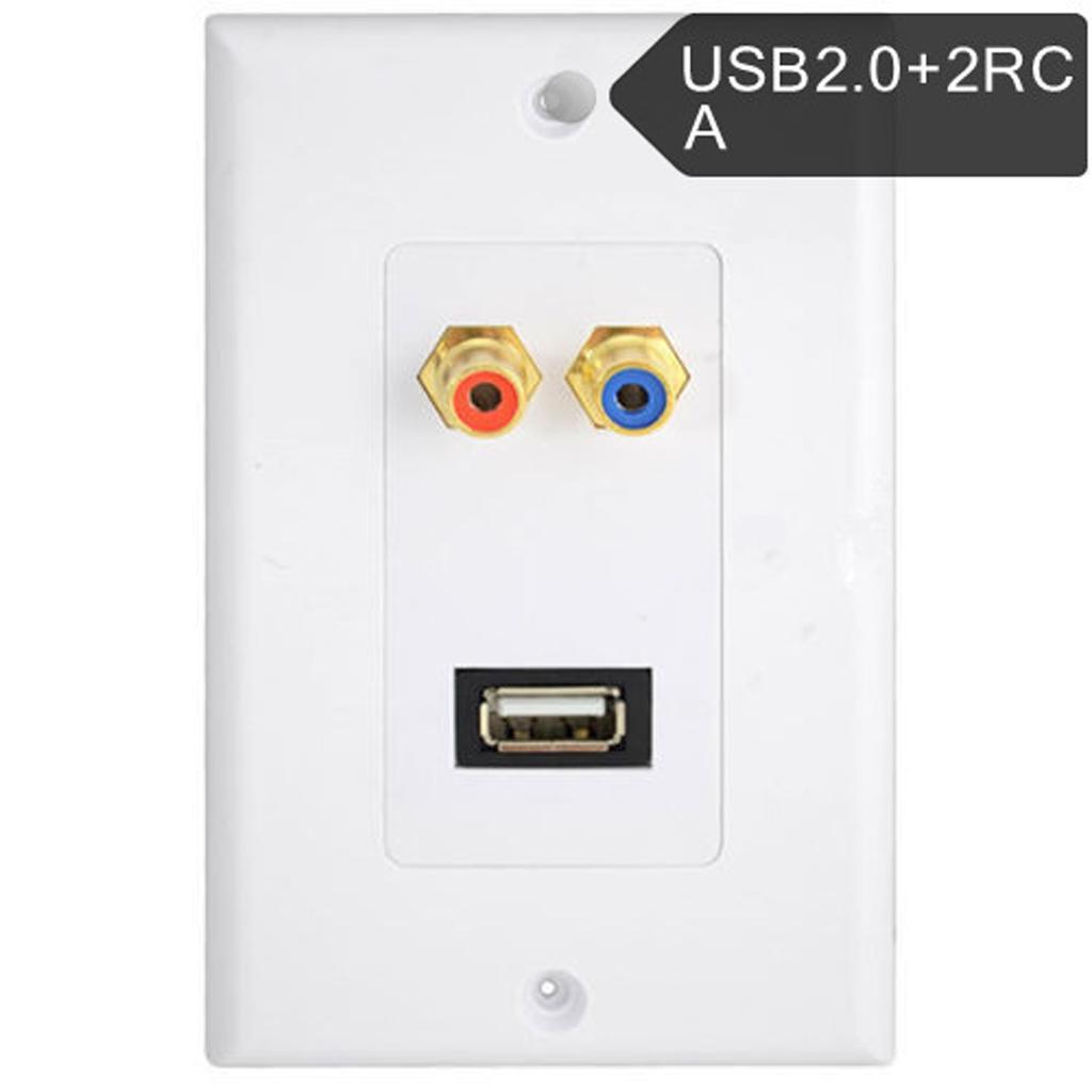 Gold Plated Wall Faceplate with USB 2.0 2RCA Female Ports
