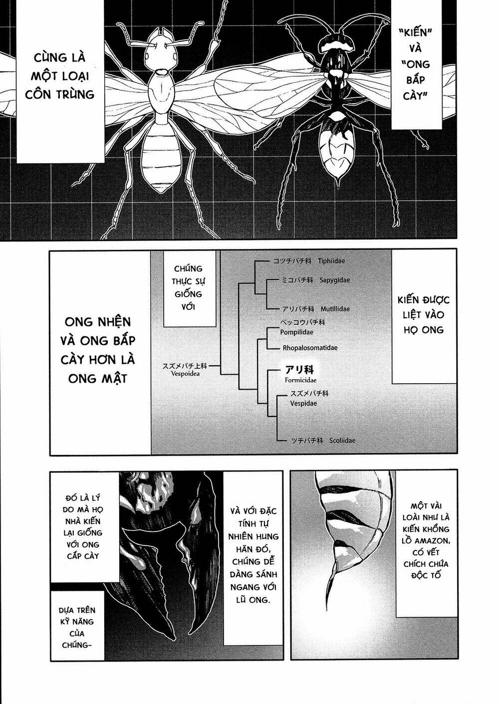 arachnid chapter 46 15