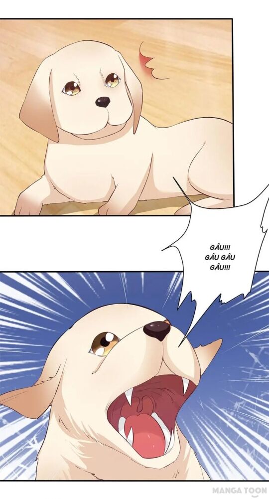 bác sĩ sở cũng muốn yêu chapter 160 11