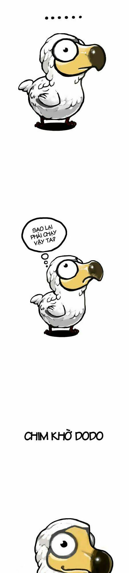 earth, human, and animal chapter 5 3