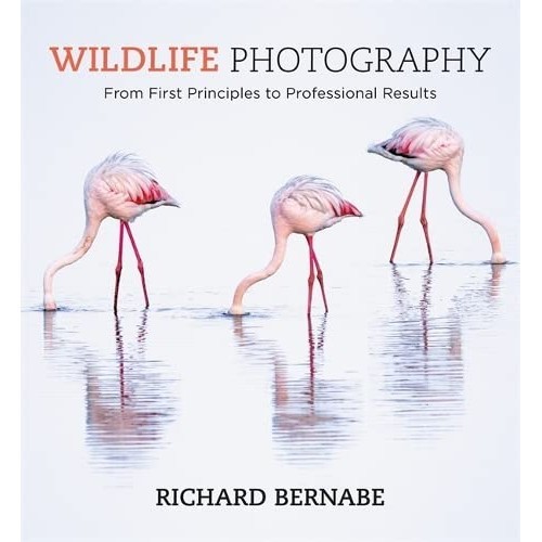 Sách - Wildlife Photography by Richard Bernabe - From First Principles To Professional Results