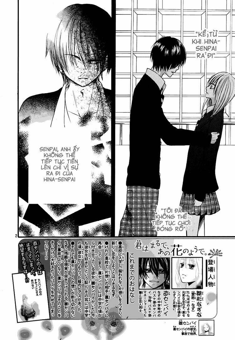kimi wa maru de, ano hana no you de chapter 2 2