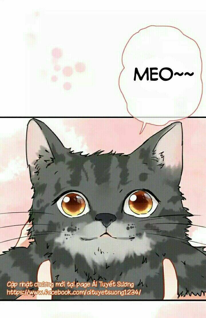 thập quang mật ngữ chapter 5 16