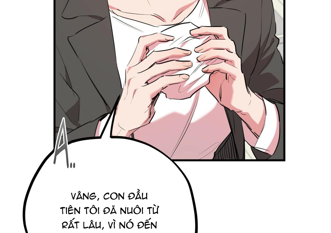 đàn thỏ của habibi chapter 20 138