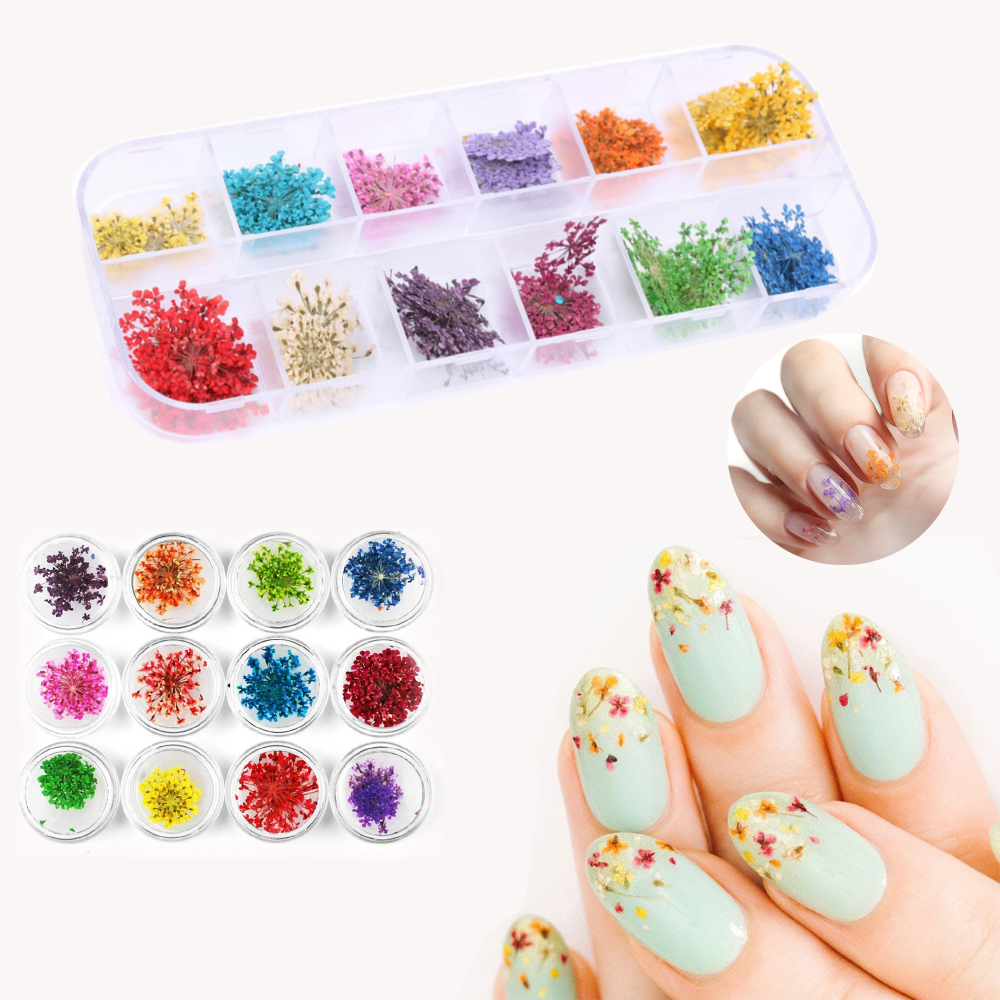 Set Hoa Khô Chùm Trang Trí Nail 12 Màu, Kiểu Dáng Đa Dạng Phong Phú Để Tạo Nhiều Phong Cách Móng Đẹp, Phù Hợp Nhiều Loại Keo Gắn Thông Dụng, Thiết Kế Thời Trang, Dễ Sử Dụng