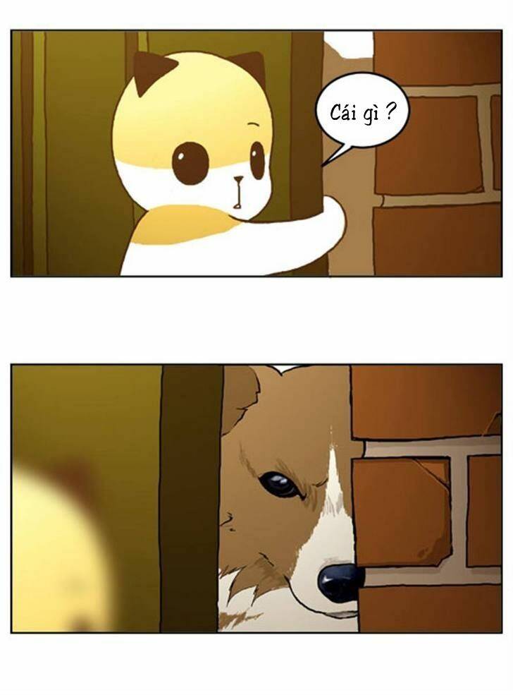 papi nyang chapter 16 15