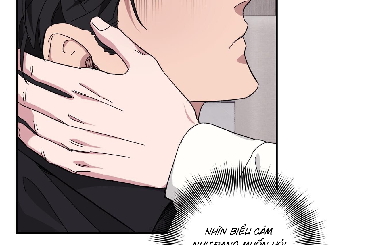 chàng dâu nhà họ kang chapter 34 22