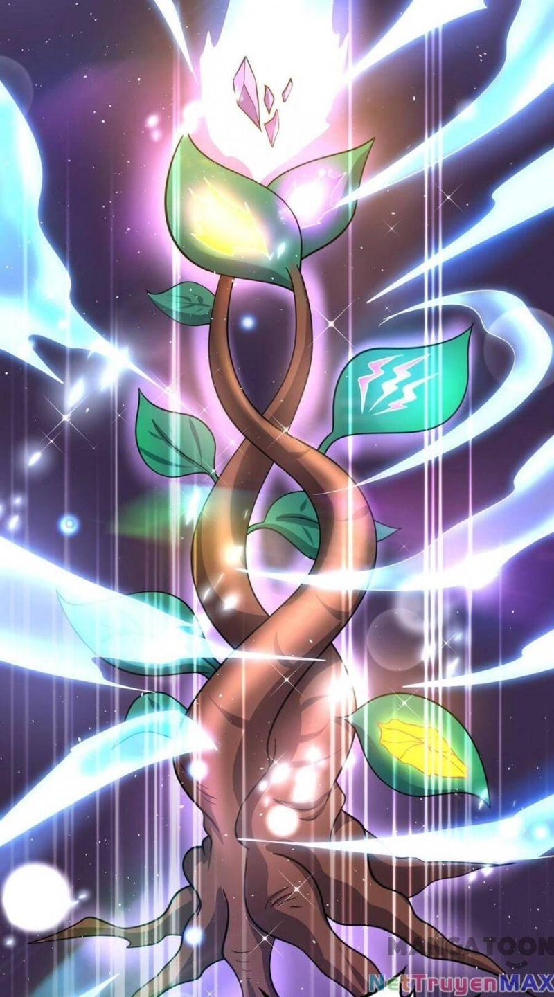 tối cường thần y tại đô thị chapter 283 40