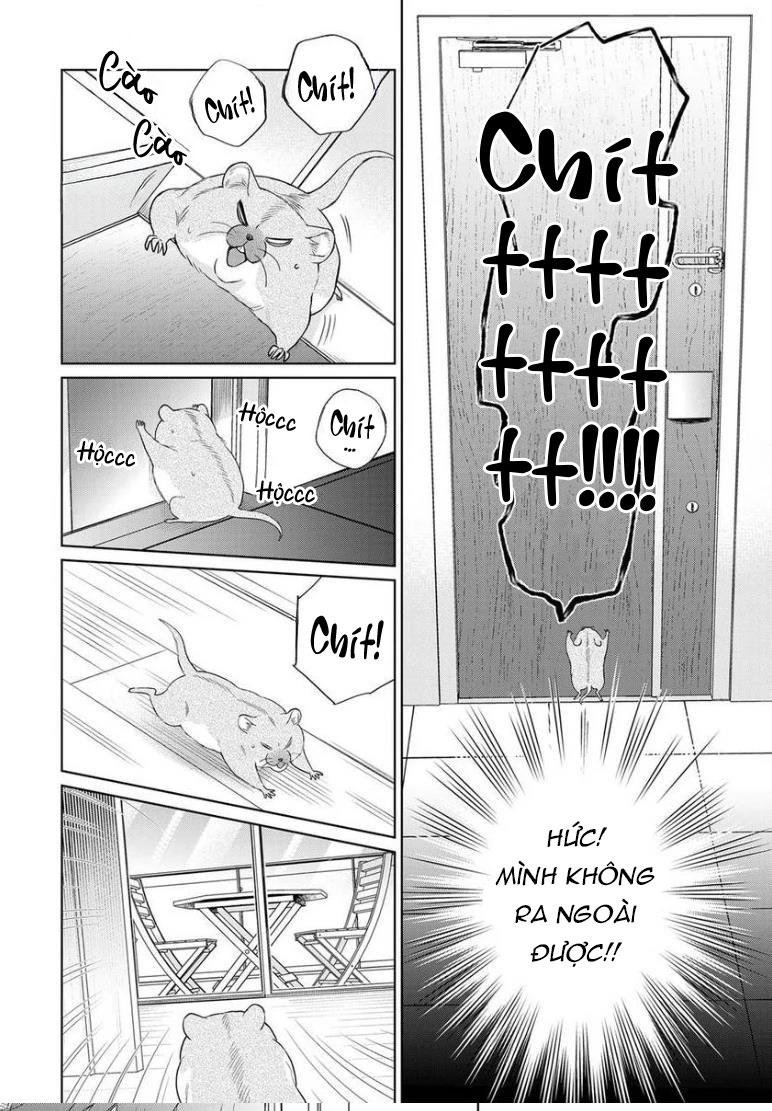 khiến một omega tuyệt hảo rít lên chapter 10 47