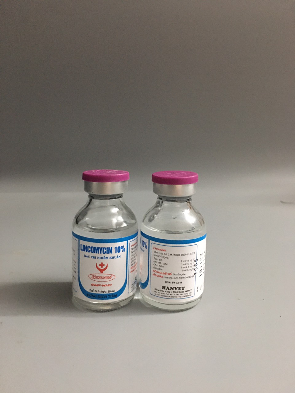 LINCOMYCIN 10% (20ml) - dùng cho chó, mèo, gia súc, gia cầm