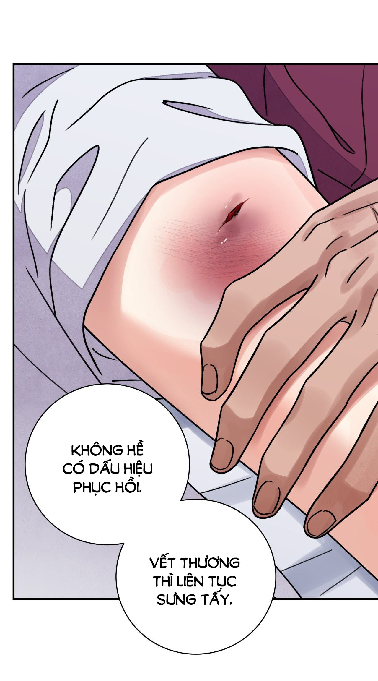 [18+] trượng kiếm tựa hoa chapter 57.1 12