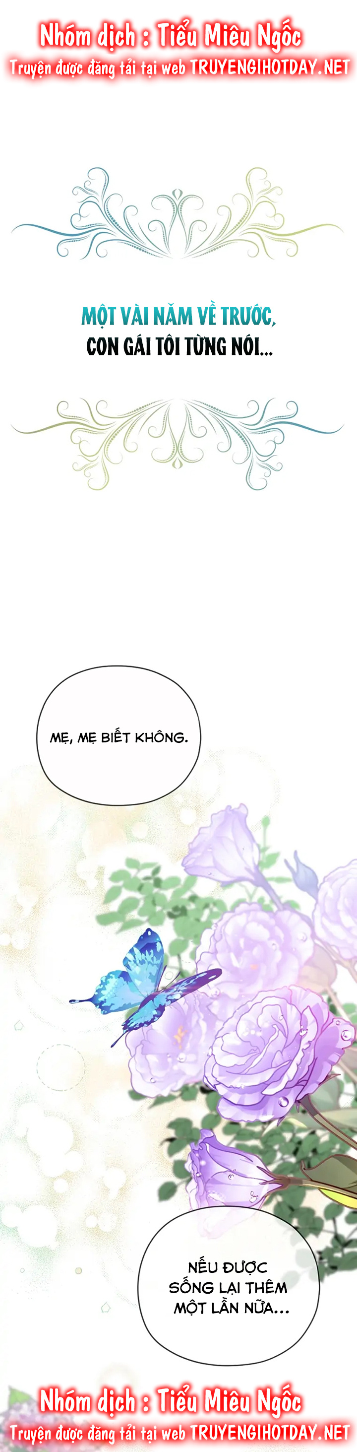 aster yêu dấu của tôi chapter 1 2