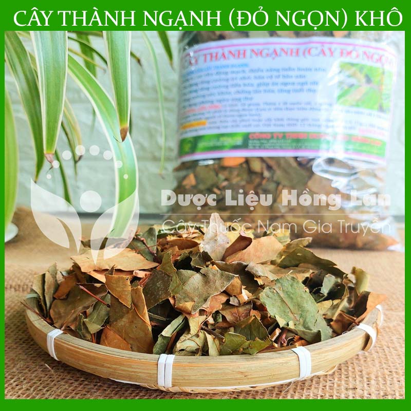 500G Cây Đỏ Ngọn khô sạch loại 1