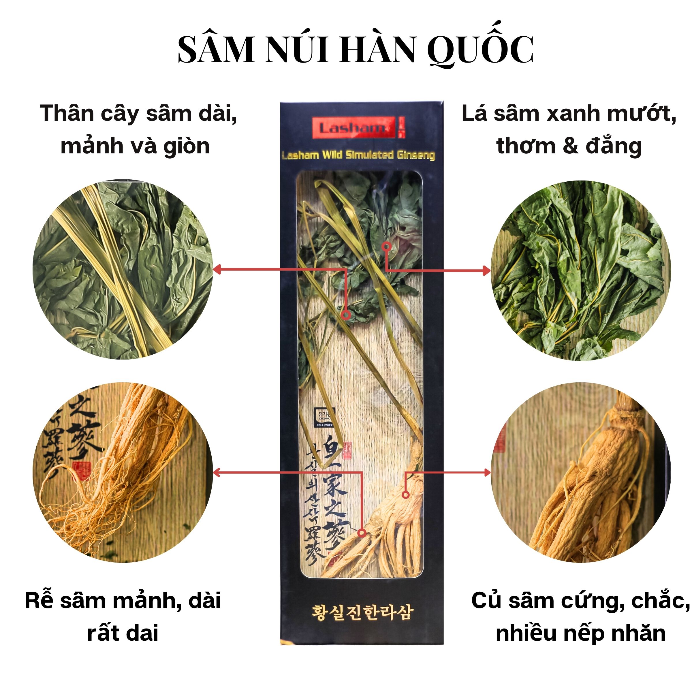 Hộp 5 Cây Sâm Núi Khô Nguyên Bản Lasham Hàn Quốc - 7 Năm Tuổi