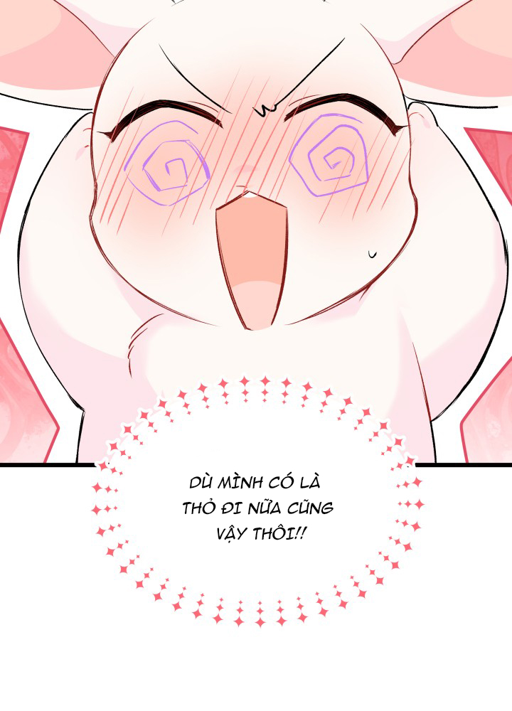 mối liên kết giữa báo đen và bé thỏ chapter 46 68