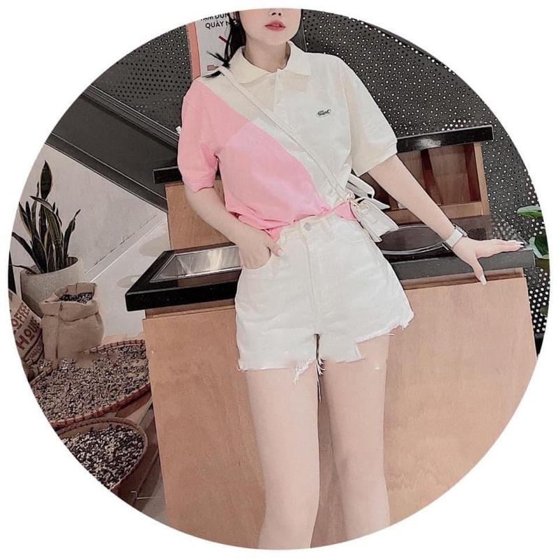 ÁO POLO CÁ SẤU PHỐI MÀU HOT HIT- Hinhin