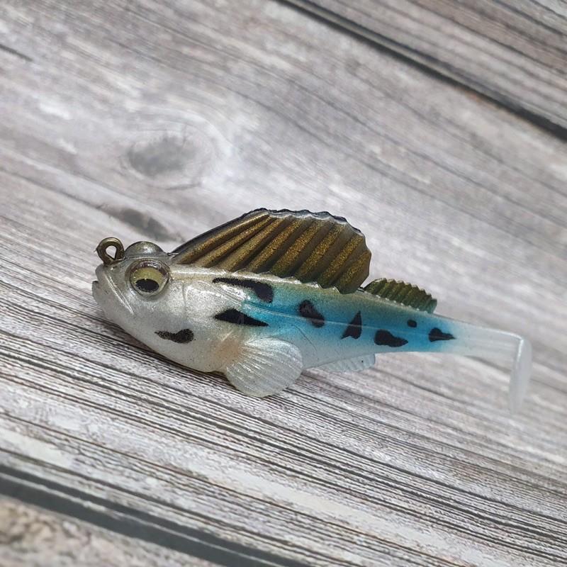 Cá giả thòi lòi mini