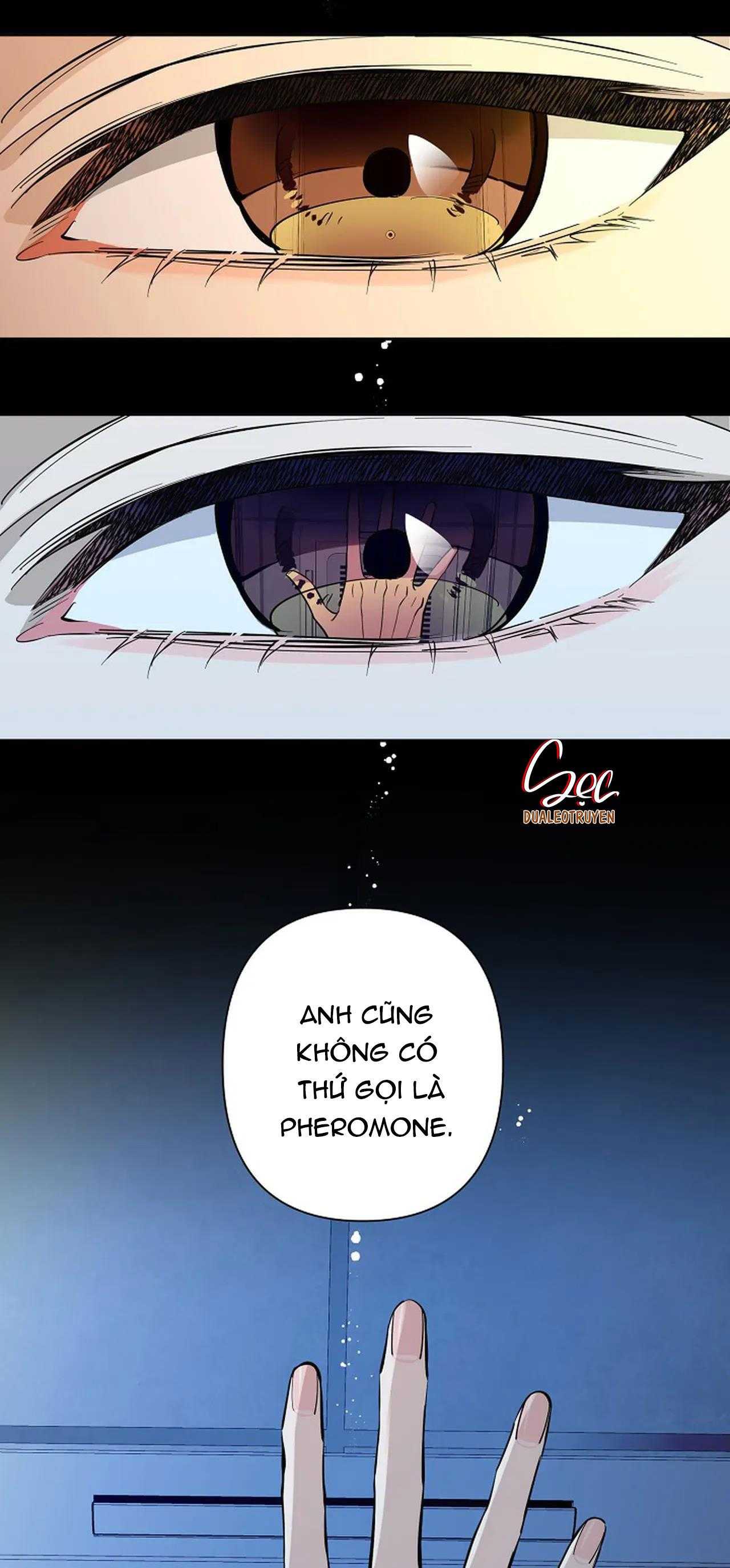 đêm dịu dàng chapter 71 9