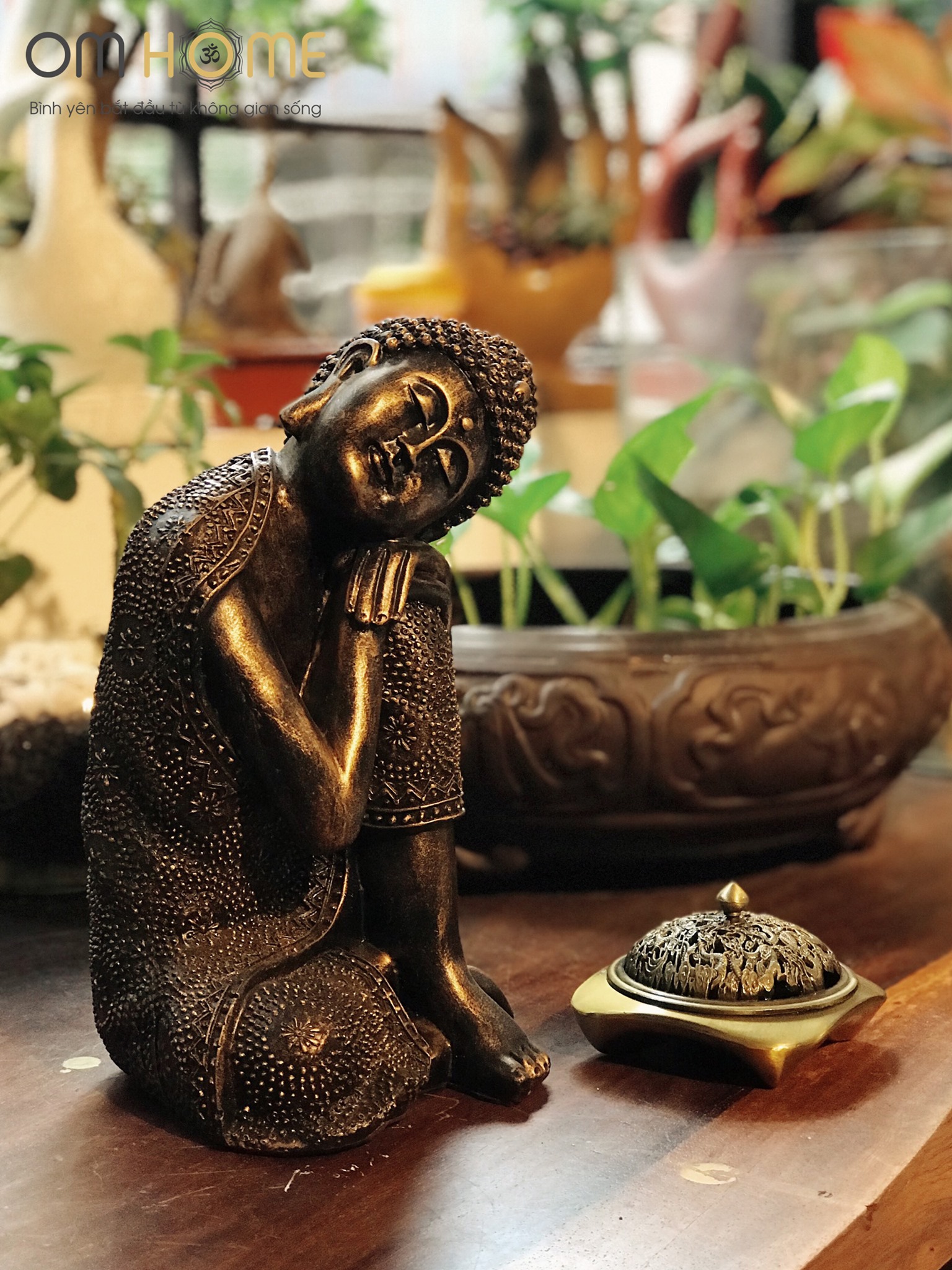 Tượng Phật Vô Ưu - Nghiêng Trái