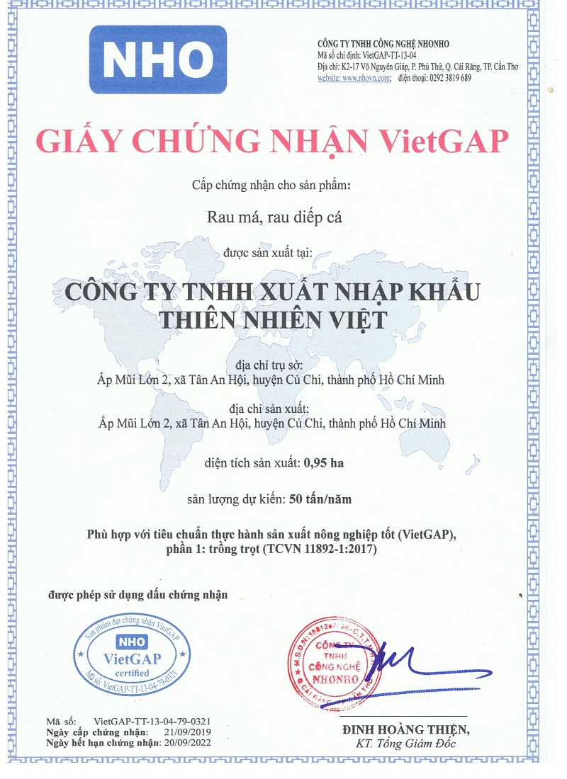 Gói mini 3g - Bột rau Chùm Ngây Sấy Lạnh Quảng Thanh - Bổ sung dinh dưỡng - phòng ngừa ung thư - ổn định đường huyết