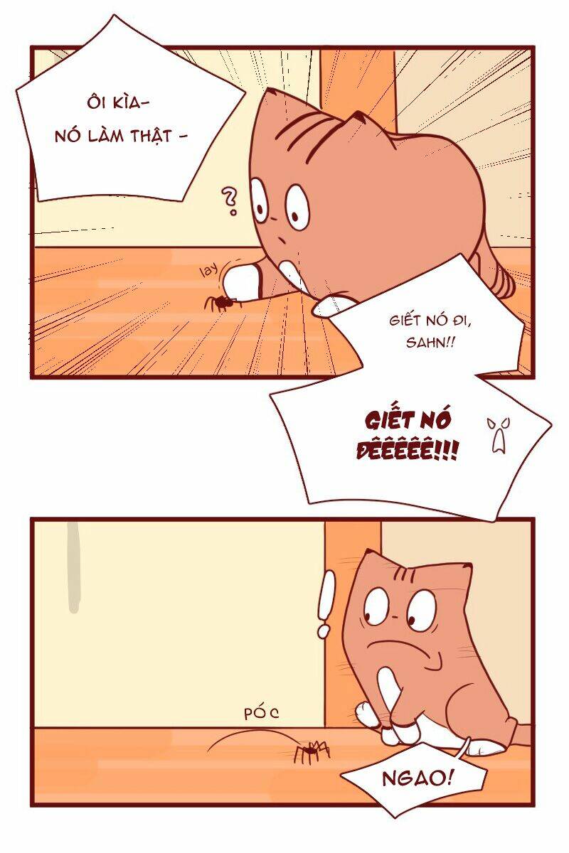 saphie: chú mèo một mắt chapter 17 10