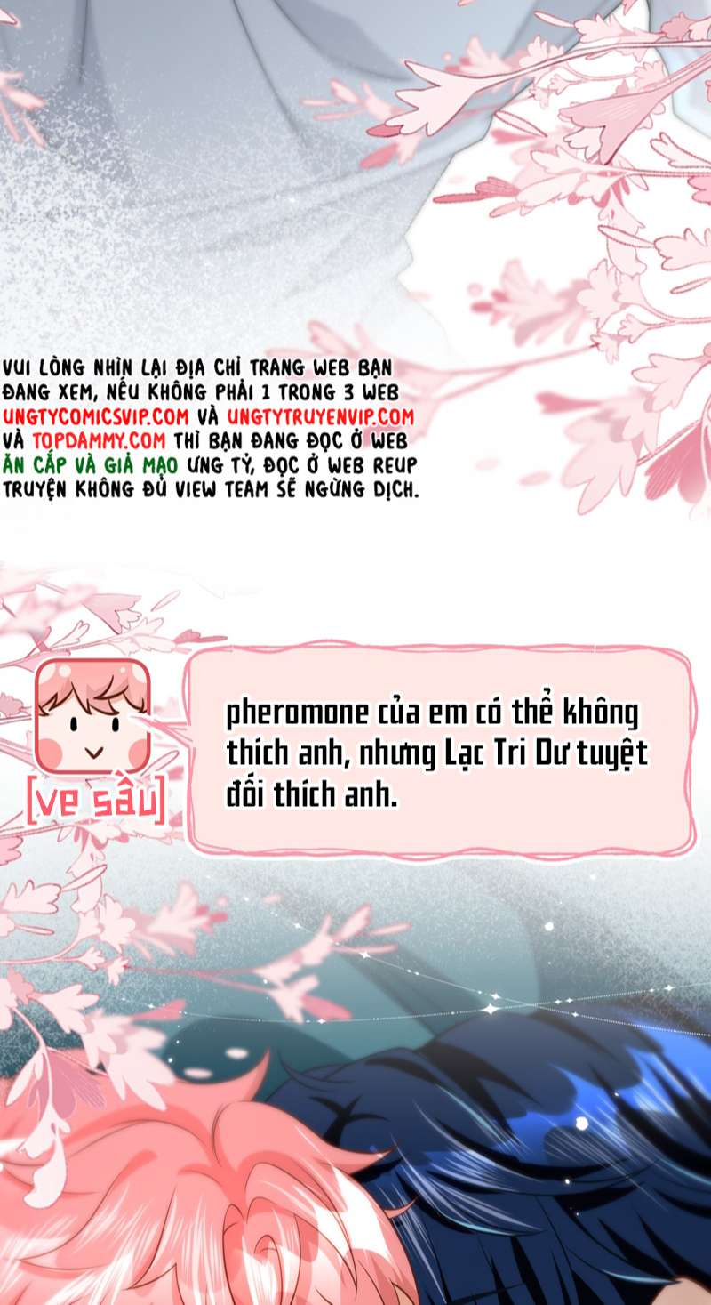 tín tức tố nói chúng ta không thể chapter 71 48