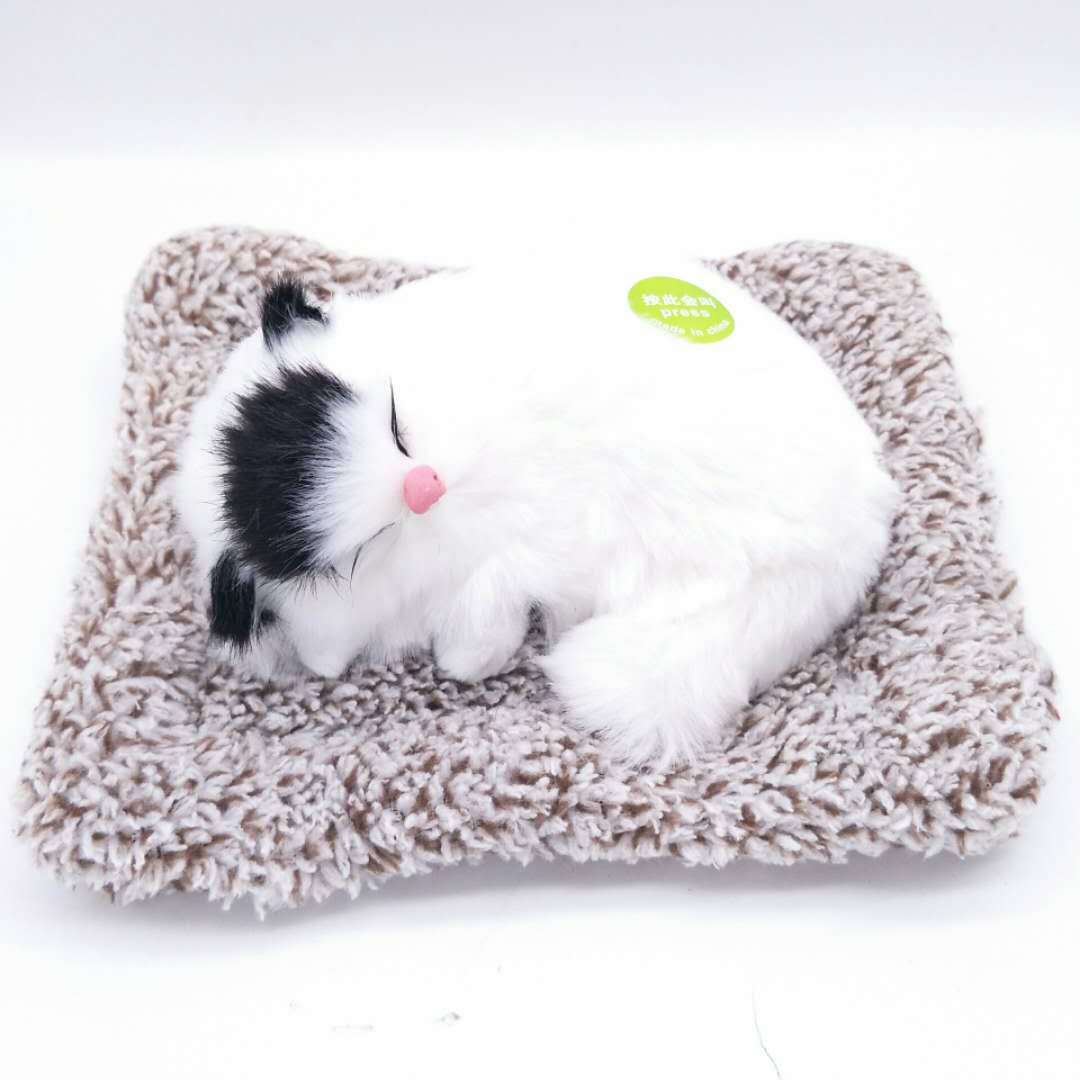 Mèo than hoạt tính nằm ổ Trắng Đen 1