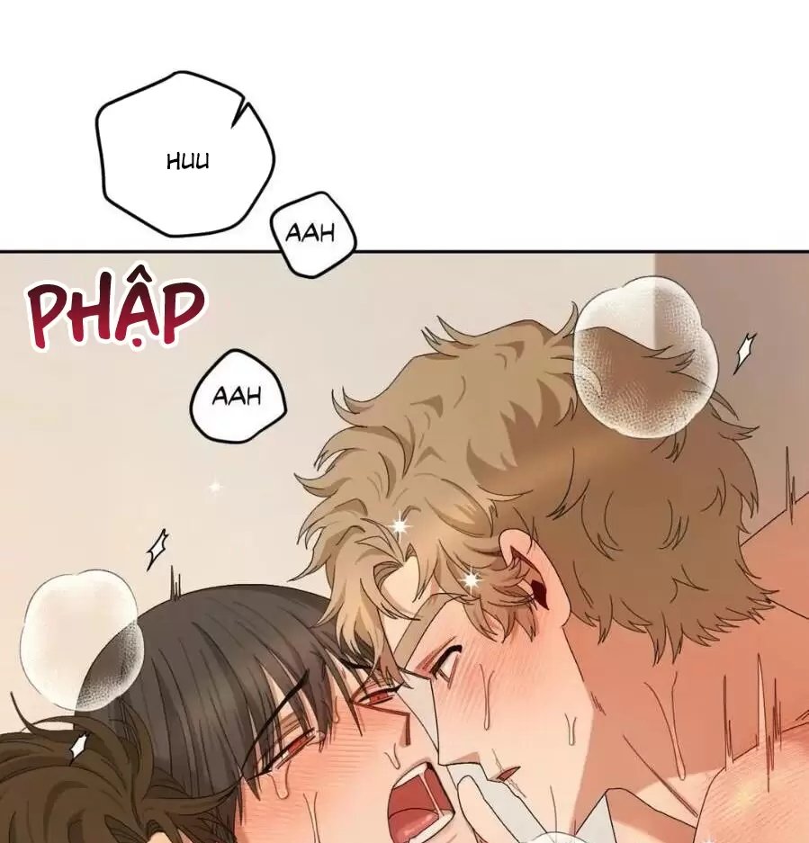 liveta chapter 13 50