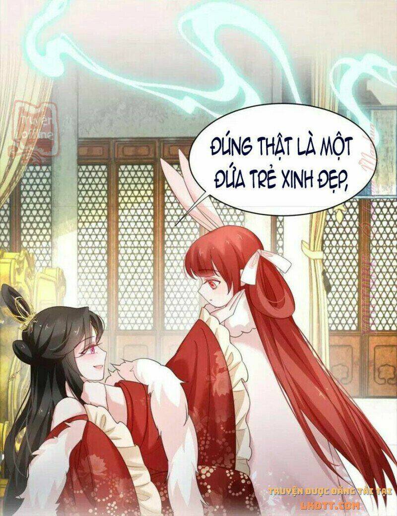 hắc hóa nam chính trực tuyến nuôi thỏ chapter 56 8