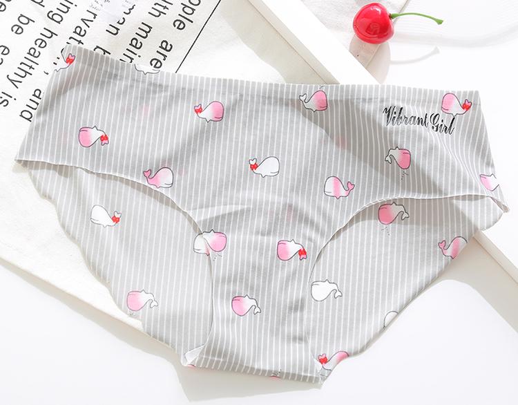 Combo 5 Quần Lót Đúc Nữ Họa Tiết Không Đường May