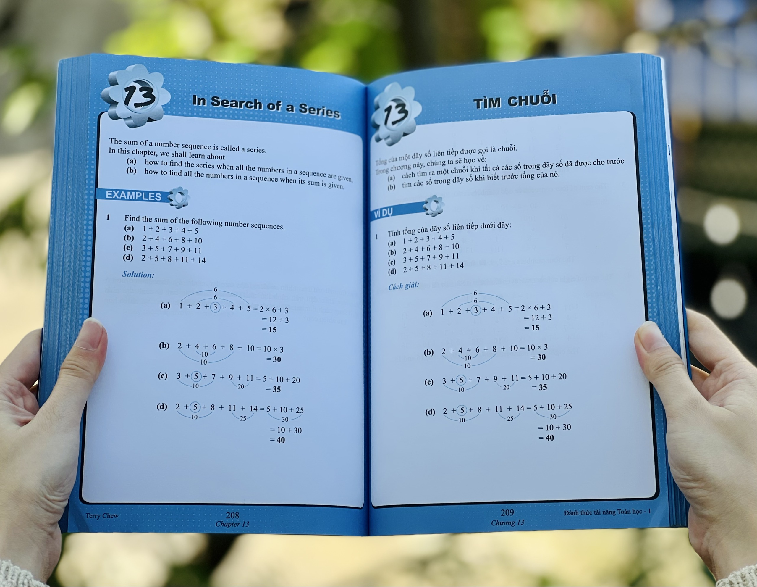 Sách đánh thức tài năng toán học 1, toán lớp 1, toán lớp 2