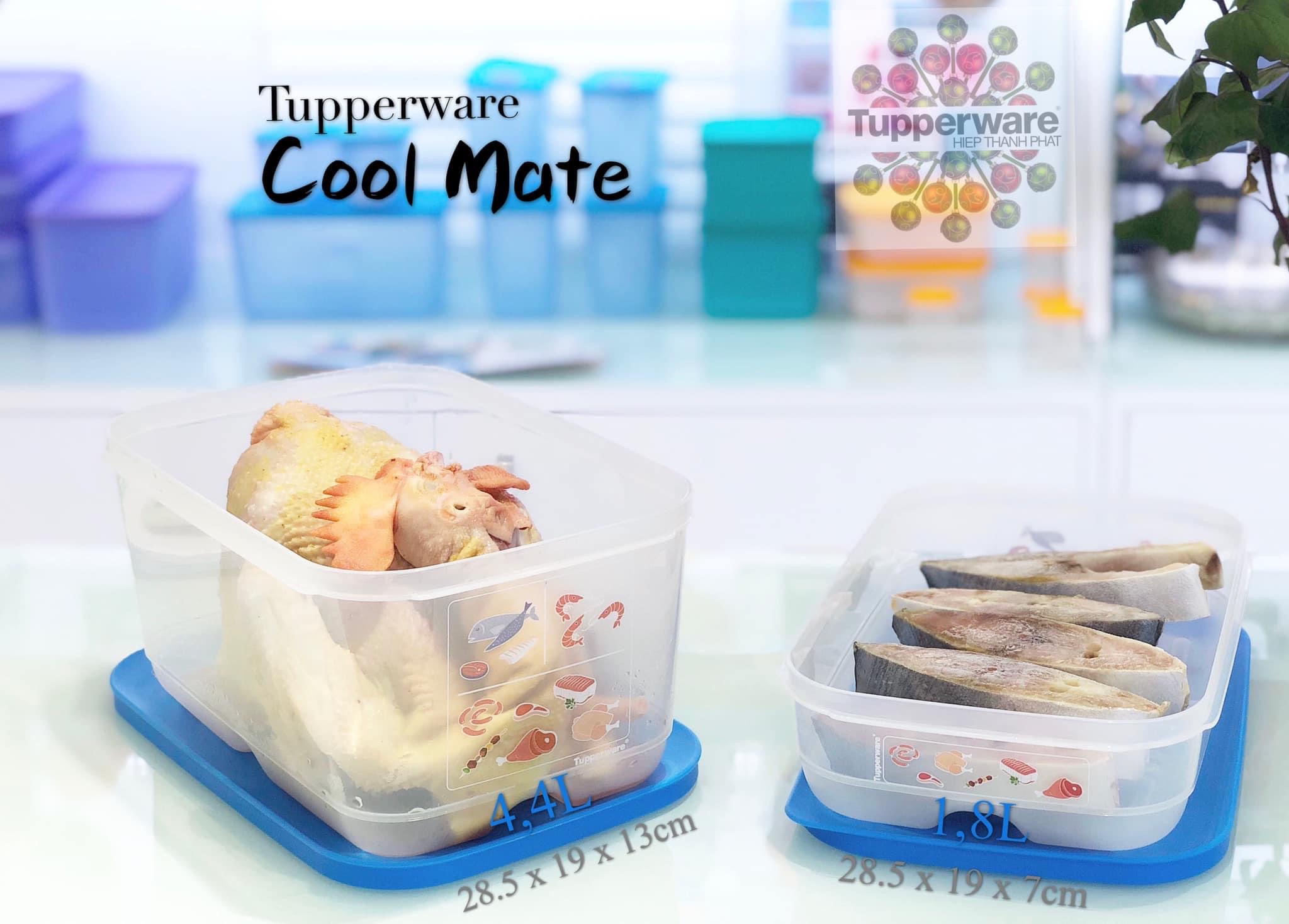 BỘ HỘP TRỮ MÁT TUPPERWARE COOL MATE