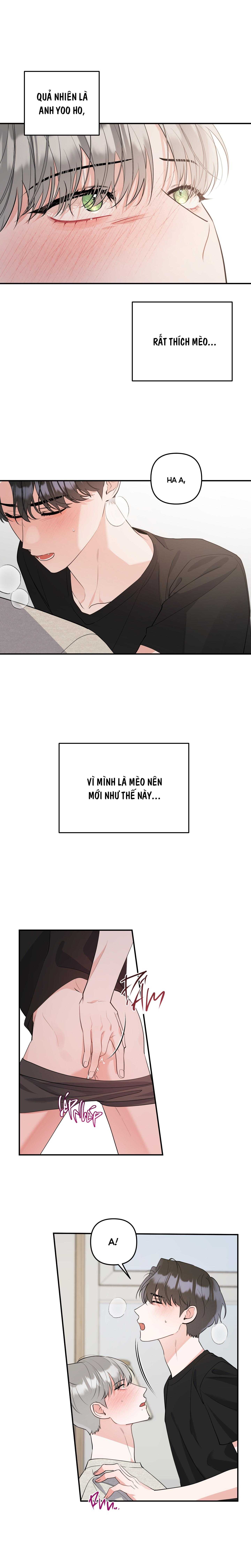 list truyện ngắn chịt chịt chapter 71 5