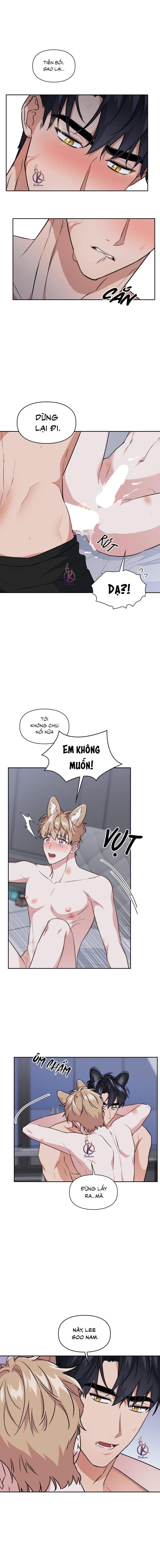 mồi nhử chapter 63 4